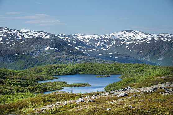 Tunturijarvi